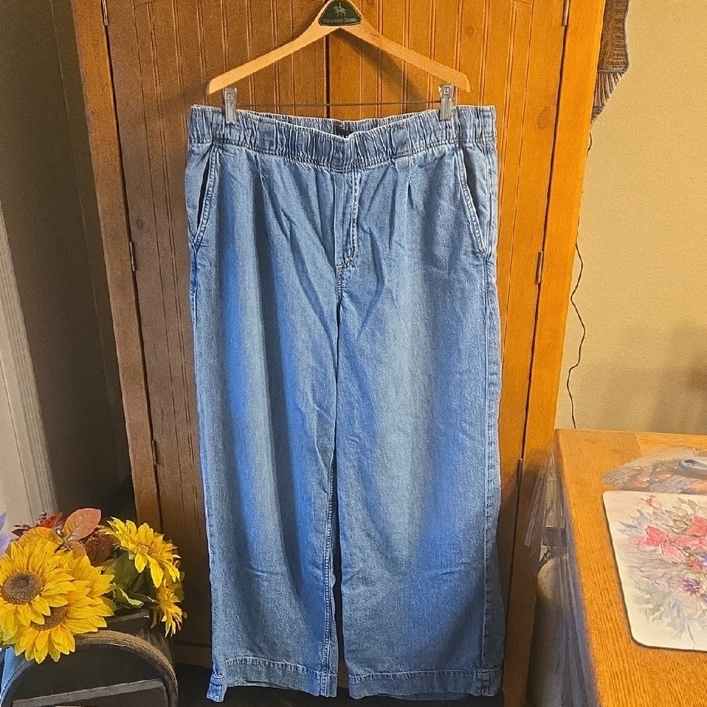 086 GAP Blue Denim Plus Size Jeans